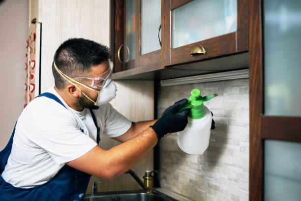 Best Pest Control Near Me in Clinton, NY